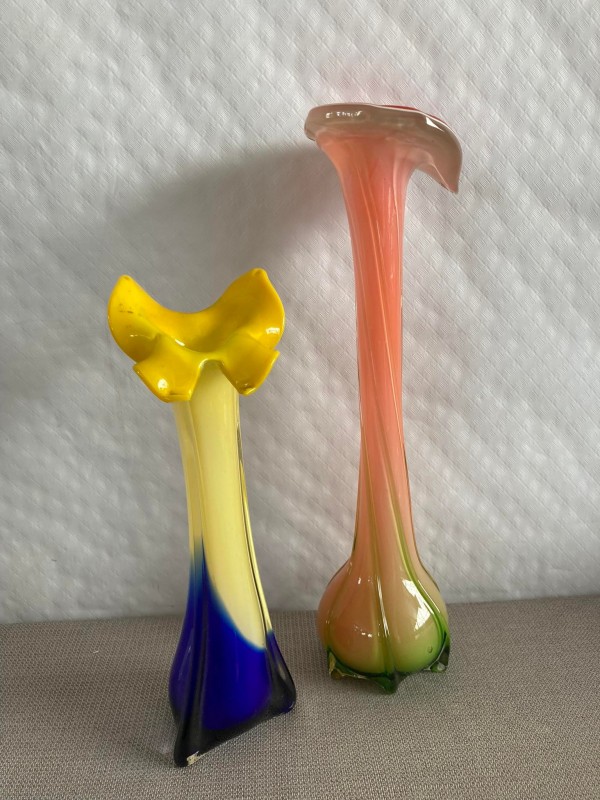 2 glazen soliflor vazen